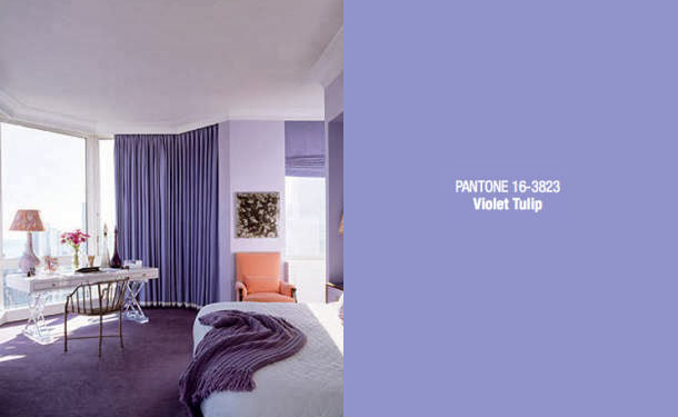 Violet Tulip Pantone  How to Decorate with the Lastest Trends Colors 1 1