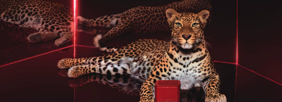 Top Luxury Brands Cartier  Top Luxury Brands | Cartier Top Luxury Brands Cartier 11