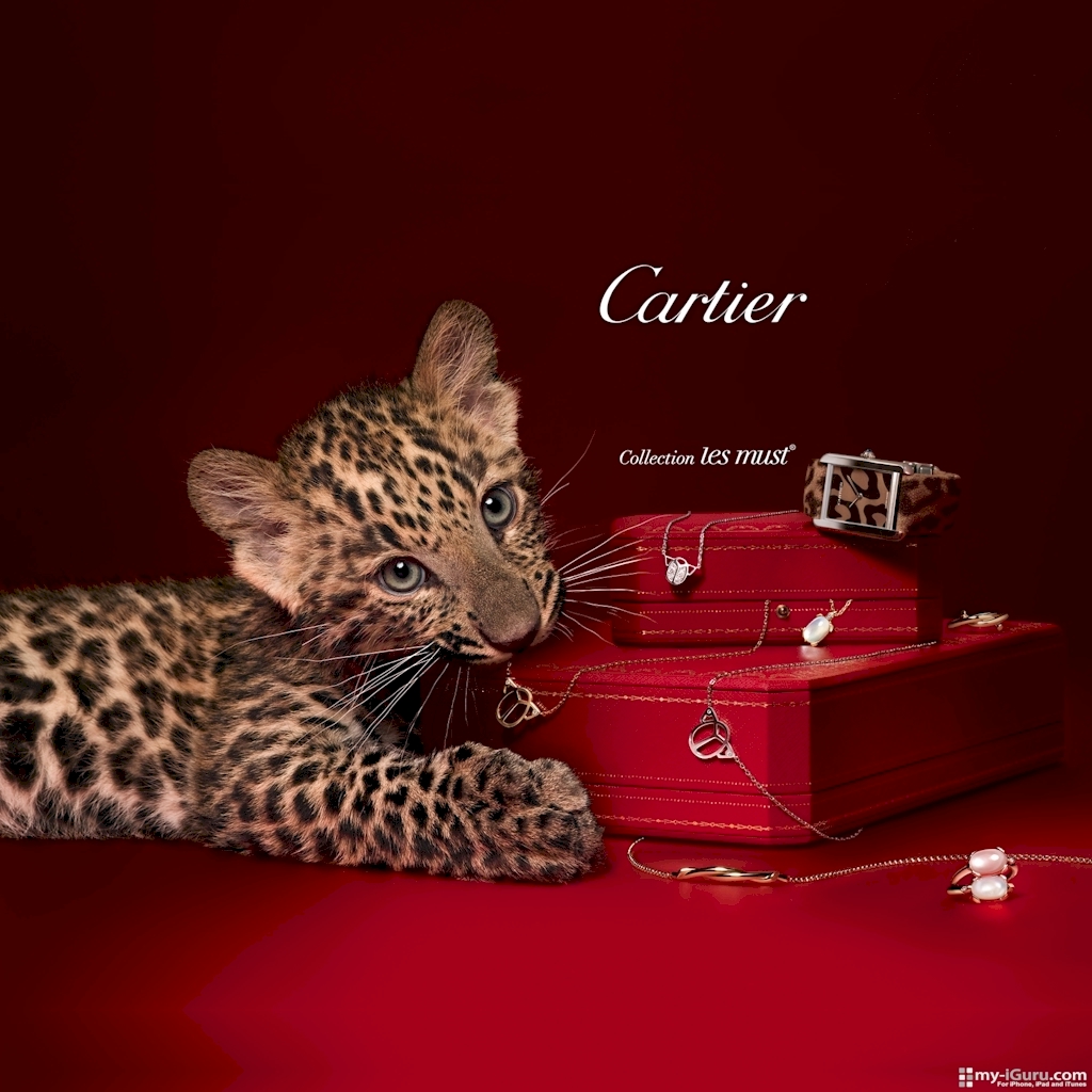 Top Luxury Brands  Cartier  Top Luxury Brands | Cartier Top Luxury Brands Cartier 18